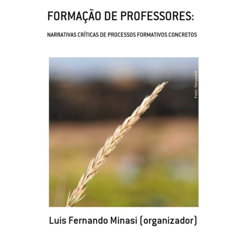 Formação de professores: narrativas críticas de processos formativos concretos