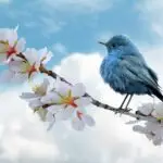 bird, blue, clouds